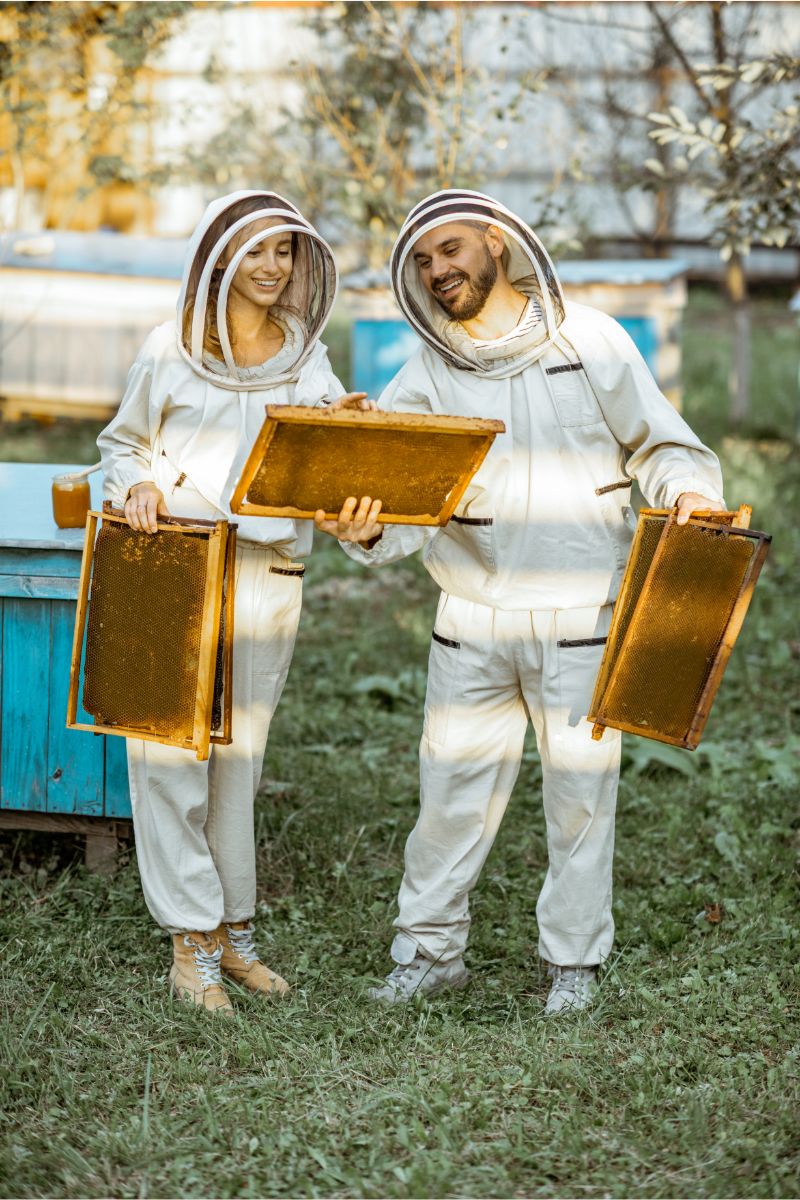 https://zdrowiutko.pl/wp-content/uploads/2024/04/beekeepers.jpg